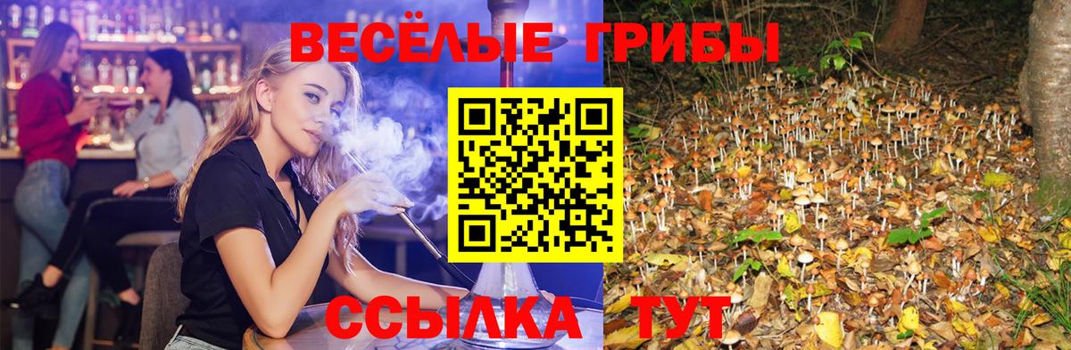 Псилоцибиновые грибы ЛСД  Вход с VPN  Аксай 